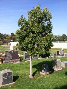 M W Pepper burial site